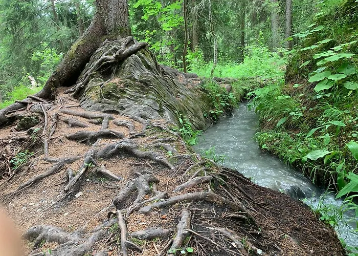 Hotel Casa Caglias *